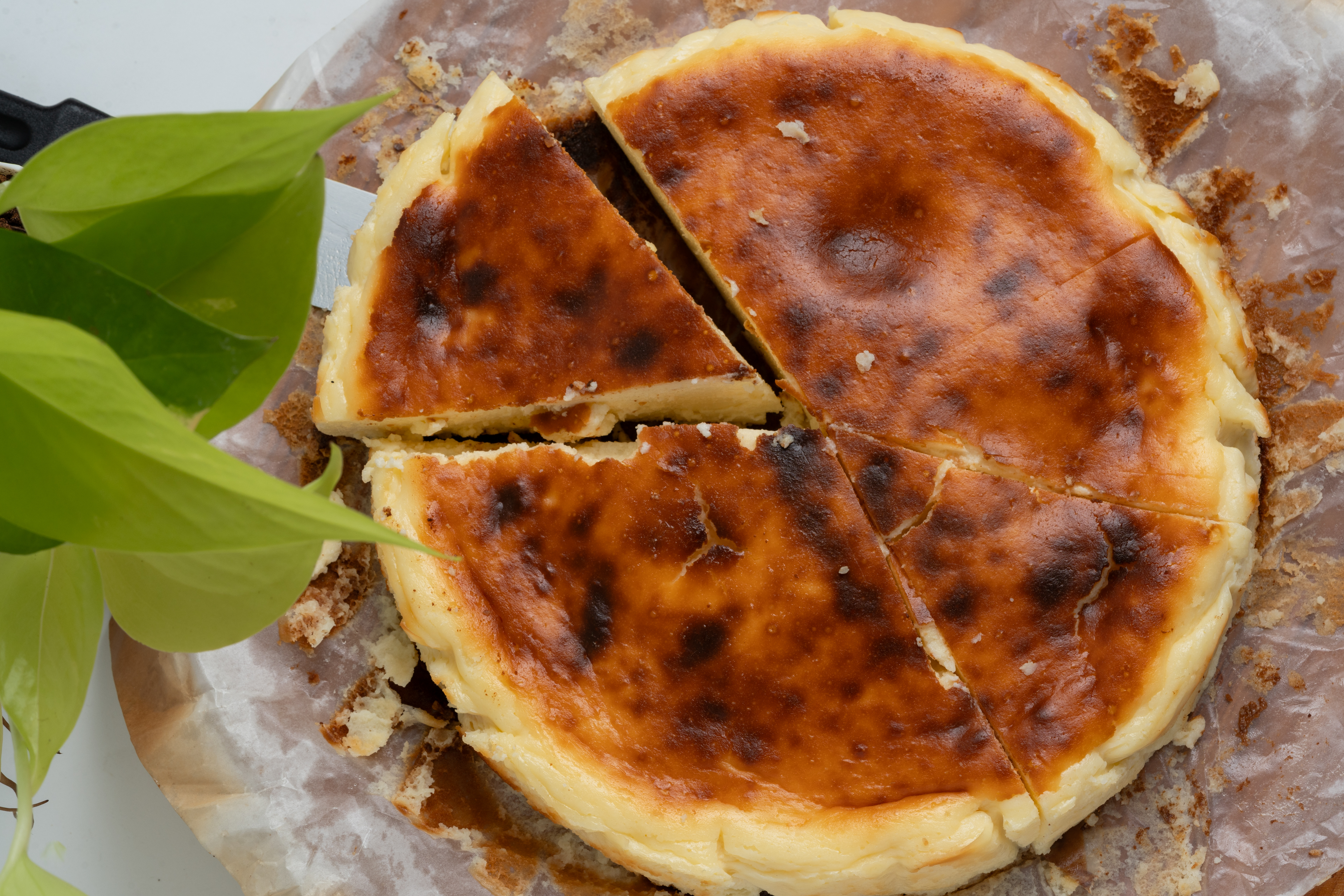 Burnt Basque Cheesecake